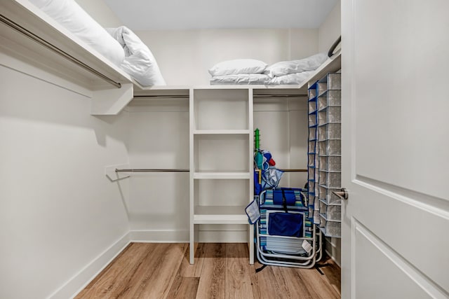 spacious closet featuring wood finished floors