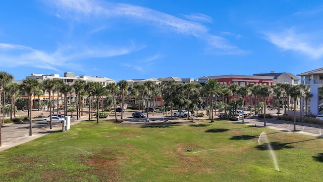 view of community with a lawn