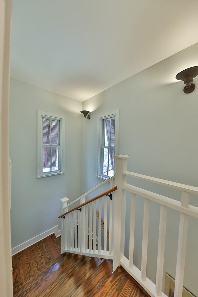 staircase featuring dark hardwood / wood-style floors