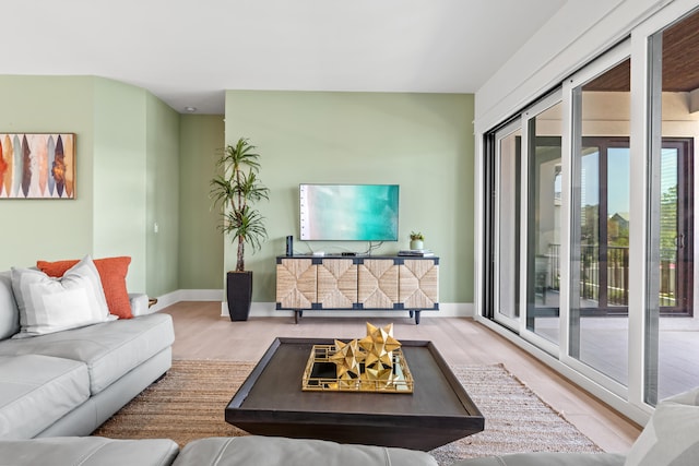 living room featuring hardwood / wood-style floors