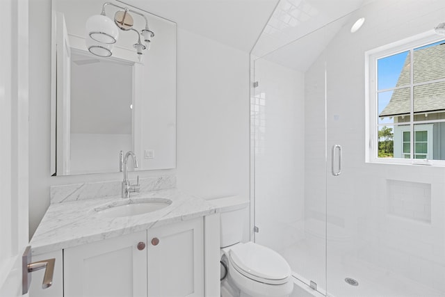 bathroom featuring vanity, toilet, a shower with door, and lofted ceiling