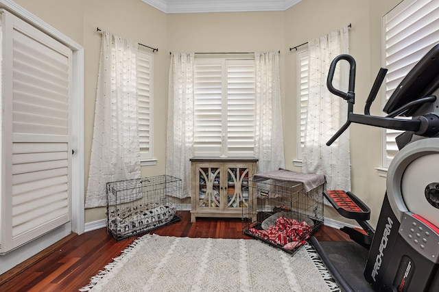 workout room featuring ornamental molding and dark hardwood / wood-style flooring