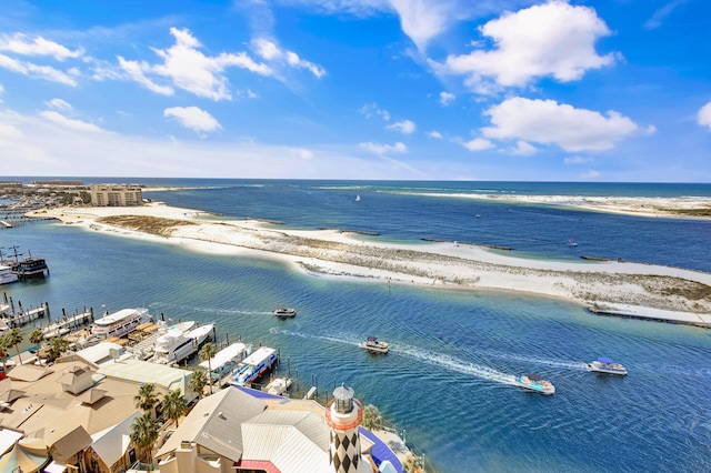 water view featuring a beach view