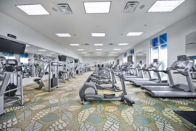 gym with carpet