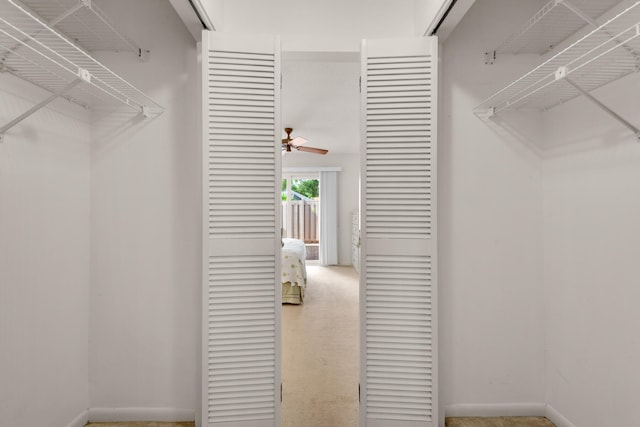 walk in closet with carpet and ceiling fan