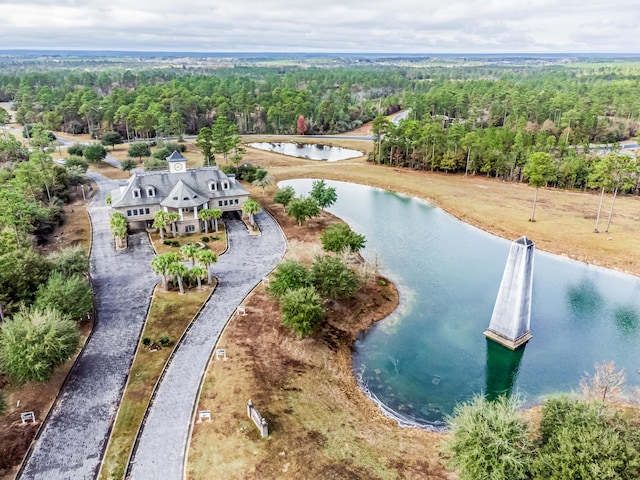 drone / aerial view with a water view