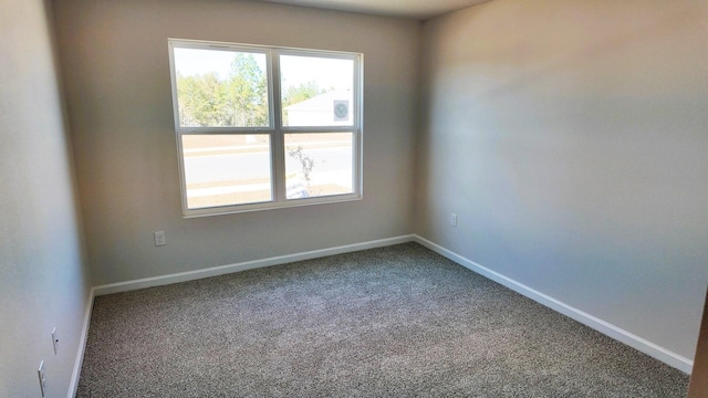 empty room featuring carpet flooring and plenty of natural light