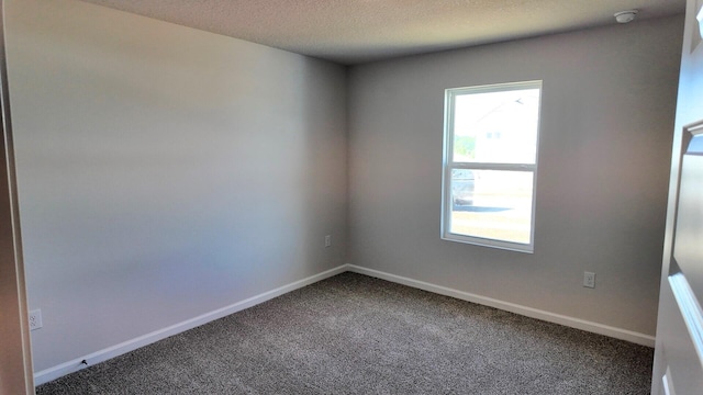 empty room featuring carpet flooring and a textured ceiling