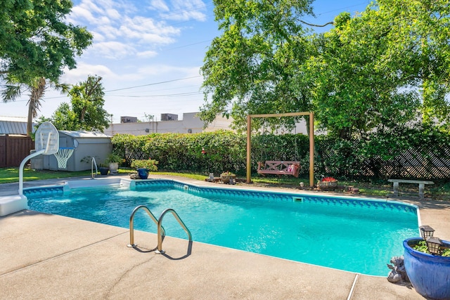 view of pool featuring a patio area and a shed