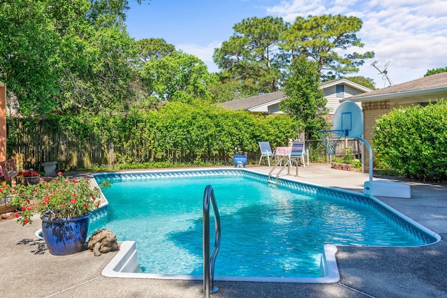 view of pool featuring a patio