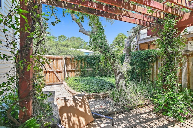 view of yard featuring a pergola