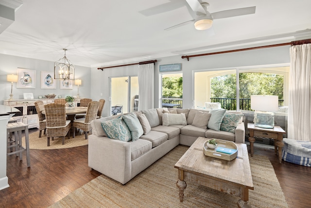 living room featuring ceiling fan with notable chandelier, dark hardwood / wood-style floors, and crown molding