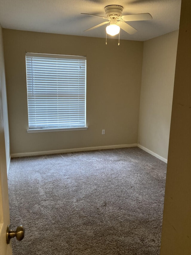 spare room with carpet and ceiling fan