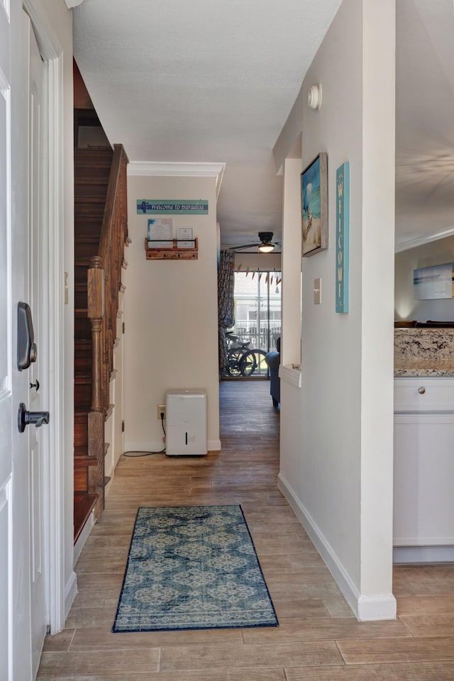 hall featuring light hardwood / wood-style flooring and crown molding