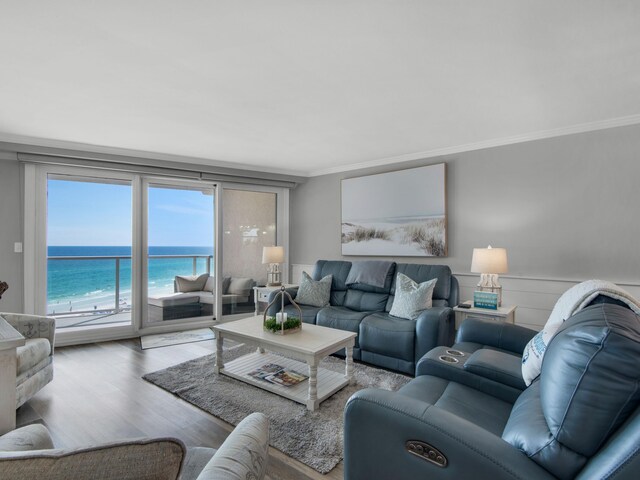 living room with a water view, light hardwood / wood-style floors, crown molding, and a view of the beach