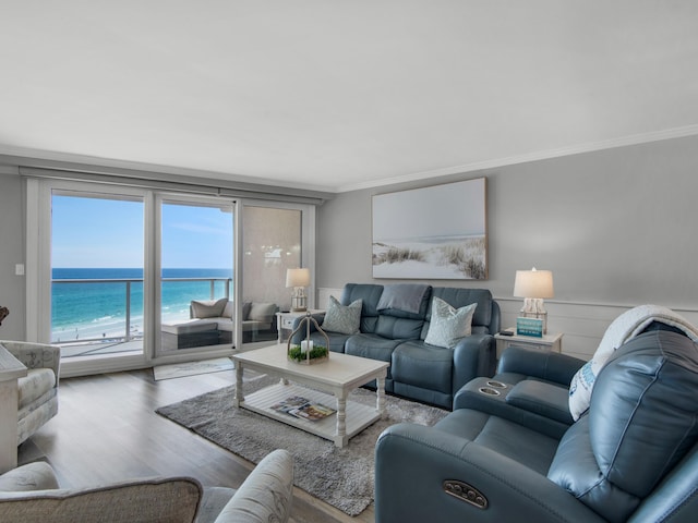 living room featuring a view of the beach, crown molding, a water view, and light hardwood / wood-style flooring