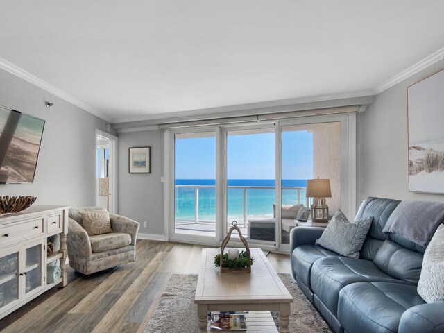 living room with crown molding, a view of the beach, wood-type flooring, and a water view