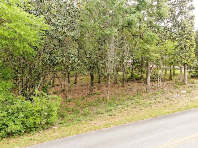 Listing photo 3 for LOT57 Lake Holley Ests, Defuniak Springs FL 32433