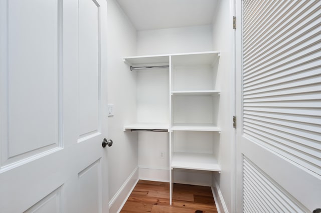 spacious closet featuring wood-type flooring