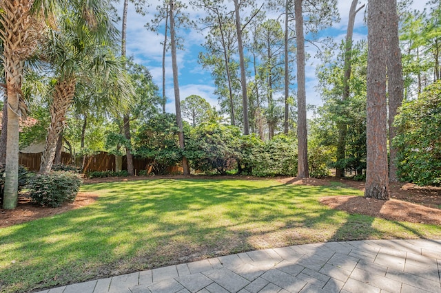 view of yard featuring a patio