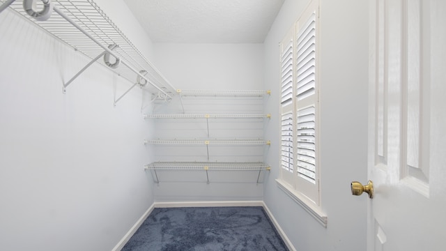 spacious closet featuring carpet flooring