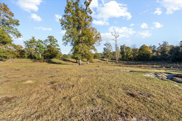 view of yard with a rural view