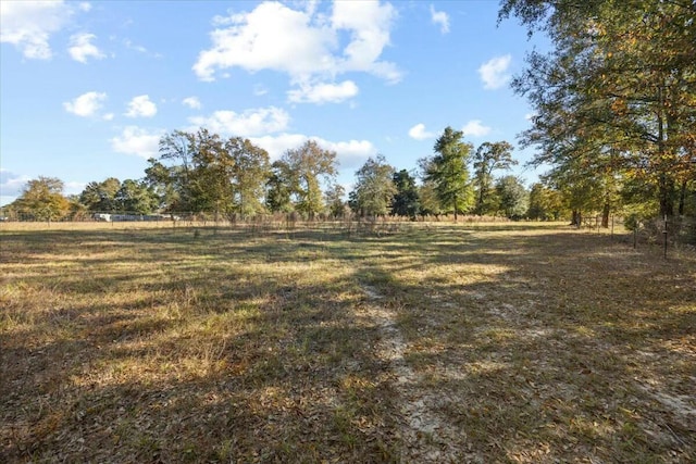 view of nature featuring a rural view