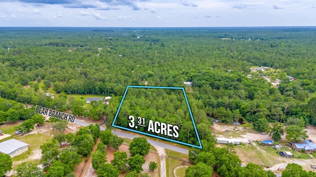 3.31ACRES Bear Branch Rd, Crestview FL, 32539 land for sale