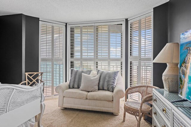 living room with carpet flooring and a textured ceiling