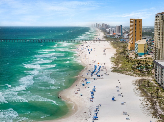 property view of water with a beach view