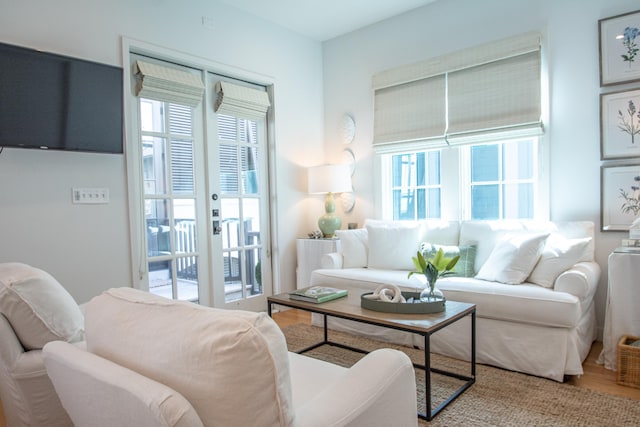 living room with a healthy amount of sunlight and hardwood / wood-style floors