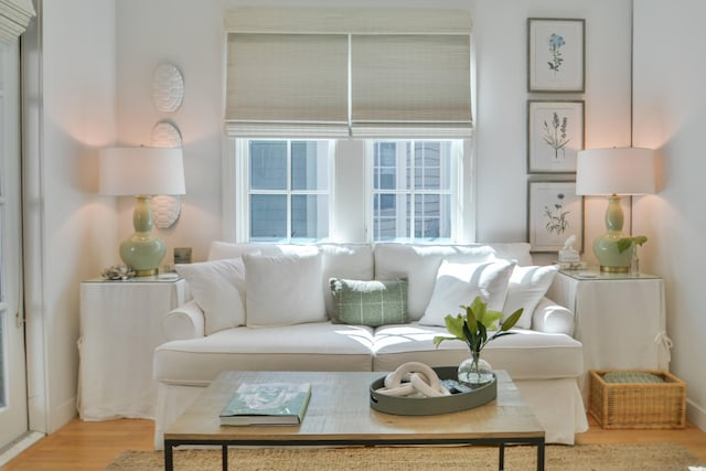 living room with light hardwood / wood-style flooring