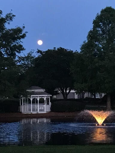 view of home's community with a gazebo and a water view