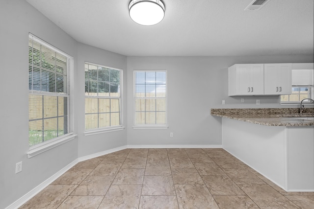 unfurnished dining area with a wealth of natural light and sink