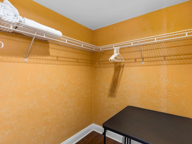 walk in closet featuring hardwood / wood-style floors