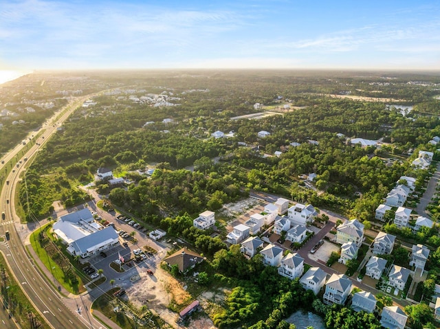 bird's eye view