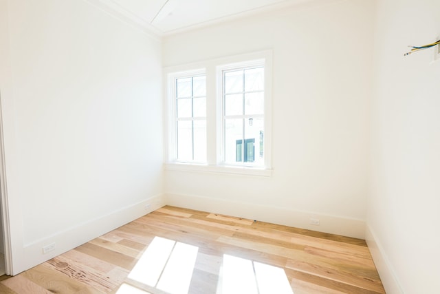 spare room with plenty of natural light, wood-type flooring, and crown molding