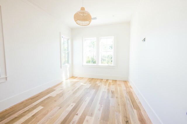 spare room featuring light wood-type flooring and ornamental molding