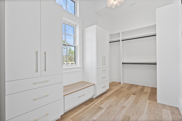 spacious closet with light hardwood / wood-style floors