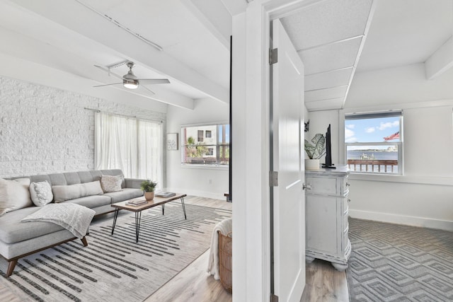 living room with ceiling fan and light hardwood / wood-style floors