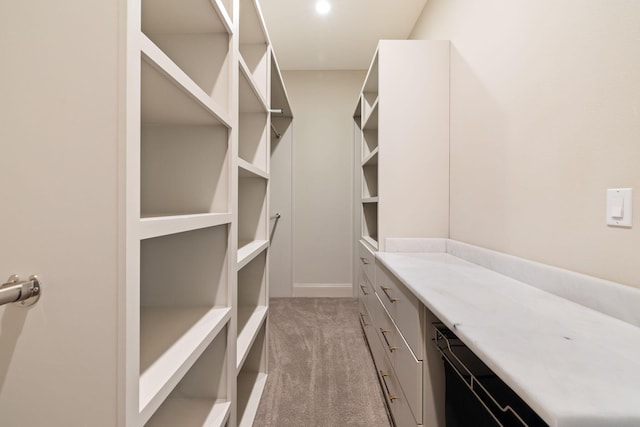 spacious closet featuring light carpet