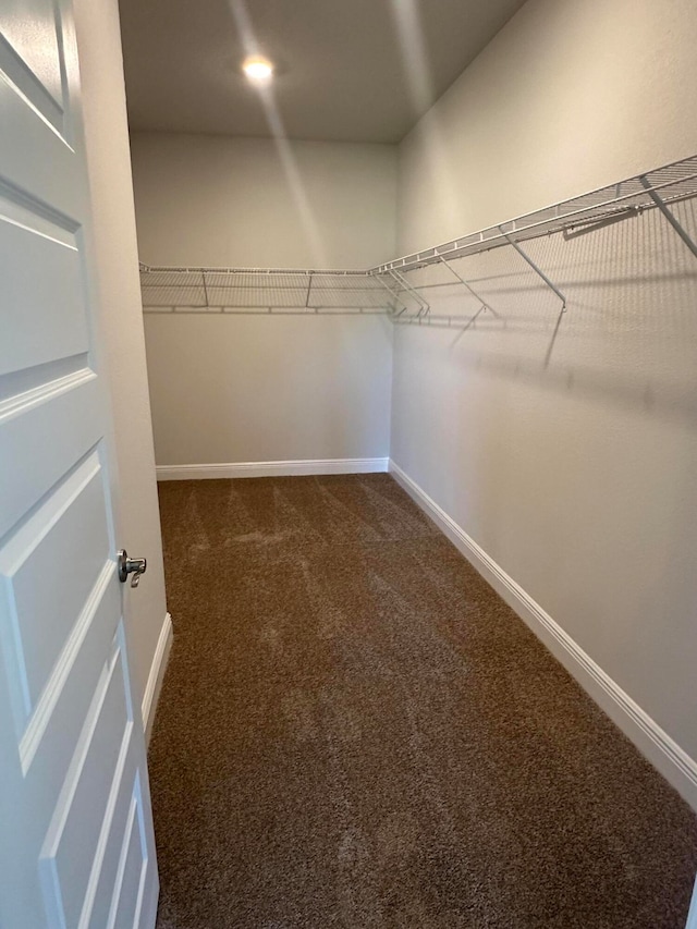 spacious closet featuring dark colored carpet