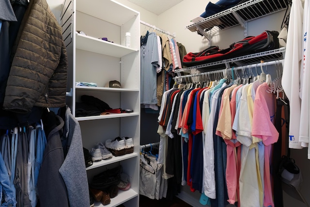 view of spacious closet