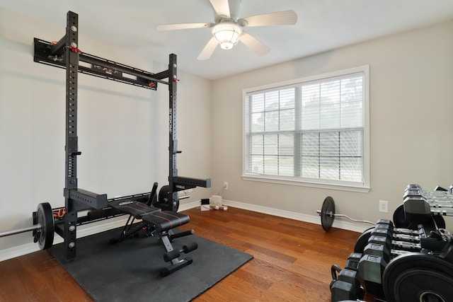 exercise room featuring ceiling fan and wood-type flooring