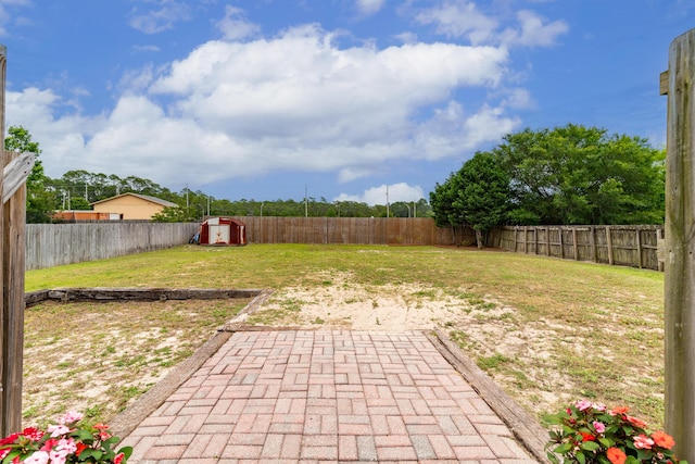 view of yard featuring a patio area and a shed