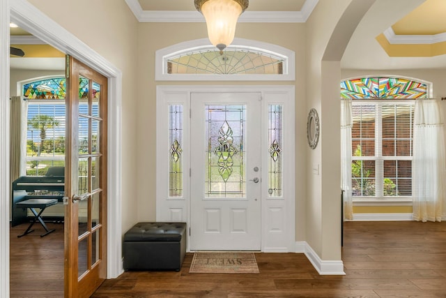 foyer entrance with plenty of natural light and dark wood-type flooring