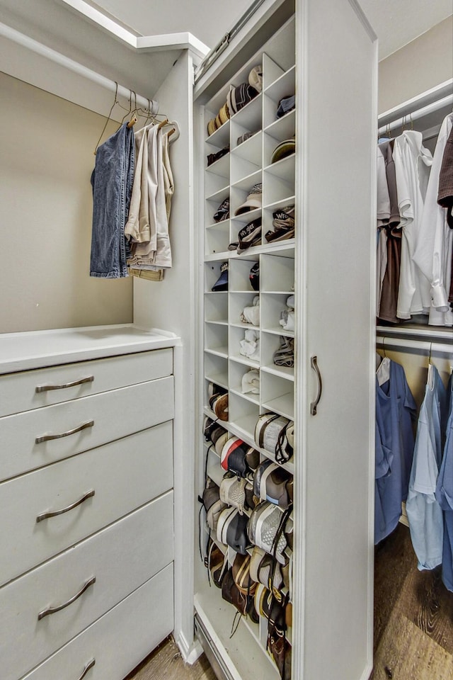 walk in closet featuring wood-type flooring