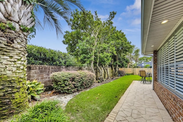 view of yard featuring a patio area