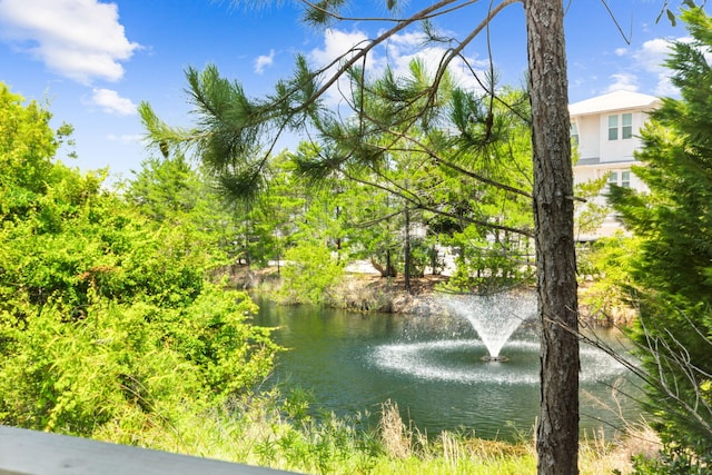 view of water feature