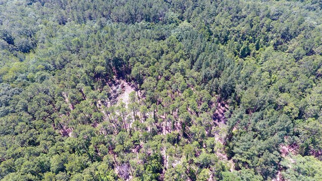 TBD Highway 177 A, Bonifay, FL 32425 - photo 6